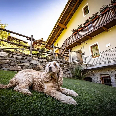 Apartment Lo Peyo - Le Four Des Alpes *